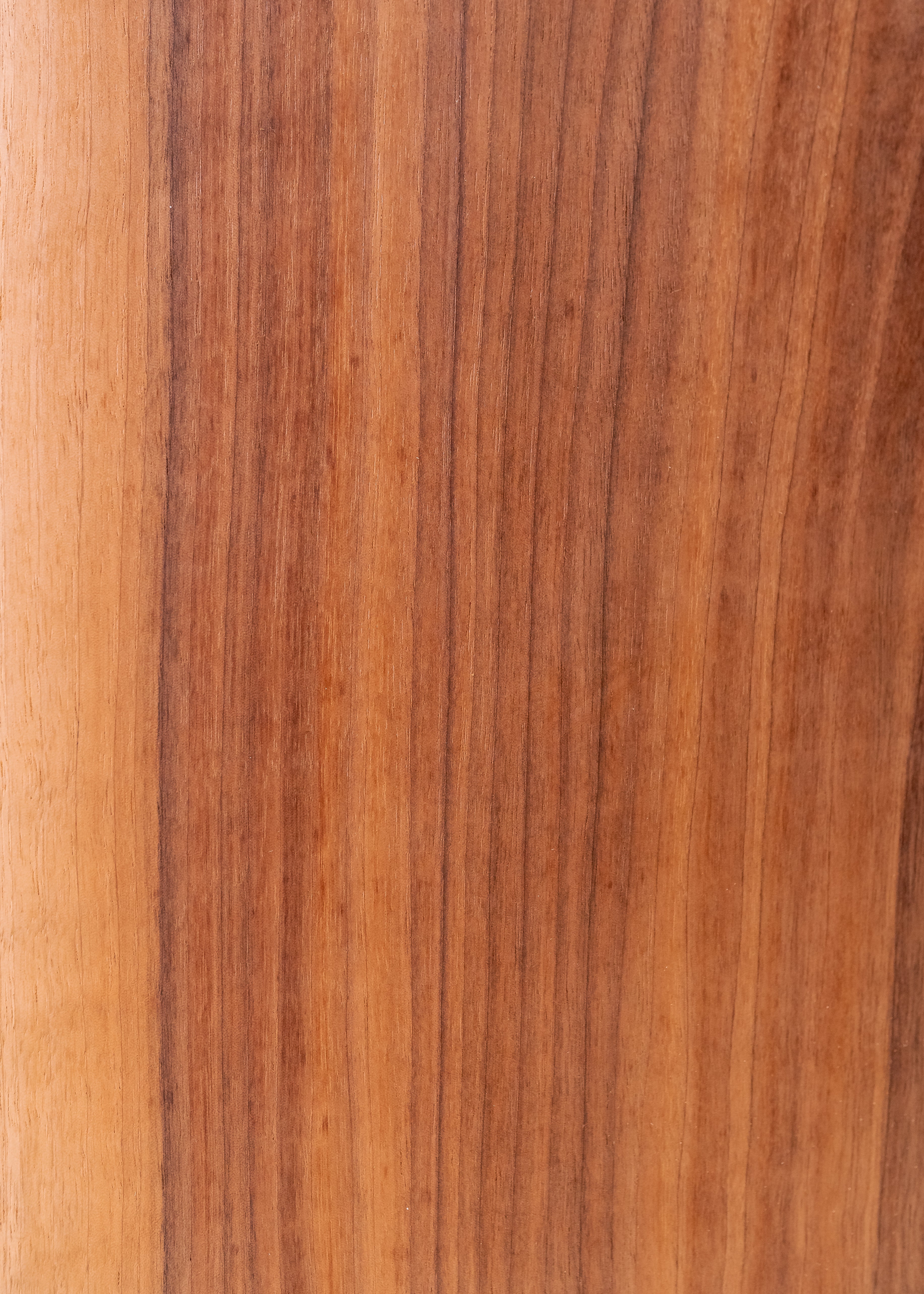 Live Edge Bread/Cheese Board